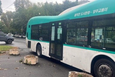 Итоги дня: сбитый мальчик, смертельный кювет, заморозки уже завтра и с молотком на соседа