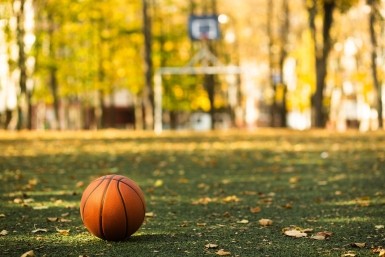 Итоги дня: коварный грипп, жуткая находка, убийство в семье и пуля для Рыжули Итоги дня: коварный грипп, жуткая находка, убийство в семье и пуля для Рыжули