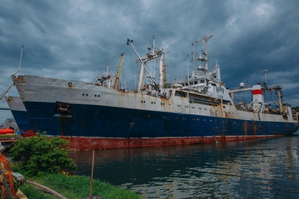 Алексей Осинцев: Для успешного строительства флота важна поддержка верфей и заказчиков