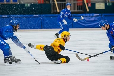 Итоги дня: прибавка врачам, 100 млн отельерам, шоу в защиту тигра и странное похищение