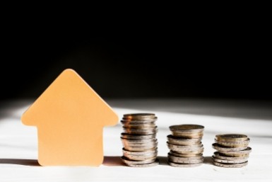 Итоги дня: опасная икра, нападение собак, штраф за неправильных пчел и новый тренер в СКА