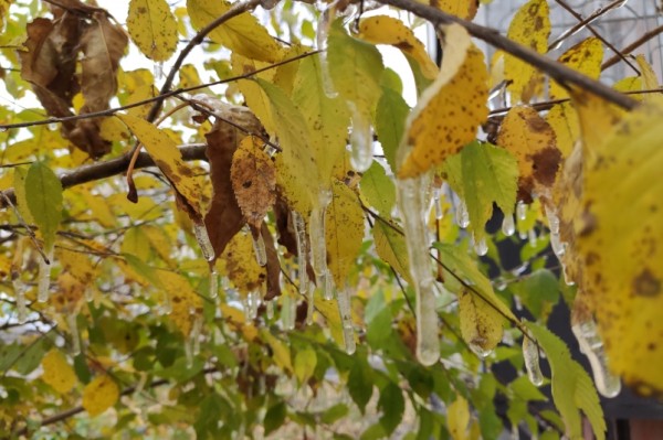 Погода на выходных в Хабаровском крае начнет портиться