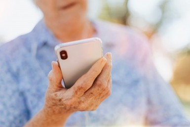 Итоги дня: не хватило сил, авто для чиновников, мясные Робин Гуды и почему всё дорожает