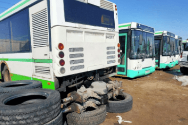 Итоги дня: опасная икра, нападение собак, штраф за неправильных пчел и новый тренер в СКА