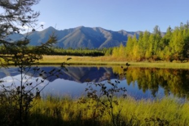 Итоги дня: советский дух, смертоносный пожар, криминальное топливо и "зеленый" юбилей