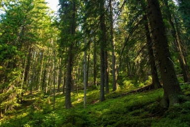 Итоги дня: "Ветер перемен", тест для таксиста, школьный драчун и игры на рабочем месте