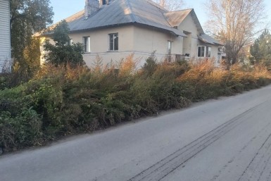 Итоги дня: собаки не пахнут, школьные "колеса", афера для пенсионера и слив на Фукусиме Итоги дня: собаки не пахнут, школьные "колеса", афера для пенсионера и слив на Фукусиме