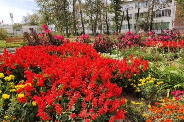 Пока вы спали: сбылось пророчество Жириновского, вновь подорожание, "Мисс Россия - 2023"