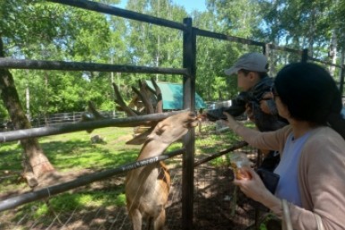 Итоги дня: лжемедики в суде, грозы грядут, Сеть в селе, а сирены  завоют в среду