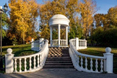 Итоги дня: собаки не пахнут, школьные "колеса", афера для пенсионера и слив на Фукусиме Итоги дня: собаки не пахнут, школьные "колеса", афера для пенсионера и слив на Фукусиме