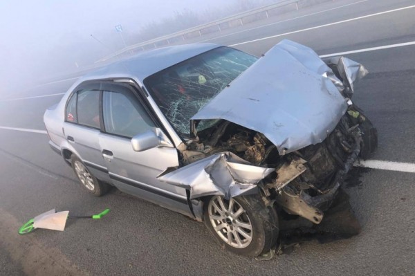 В дымовой ловушке: семь машин попали в тройное ДТП в Хабаровском крае В дымовой ловушке: семь машин попали в тройное ДТП в Хабаровском крае