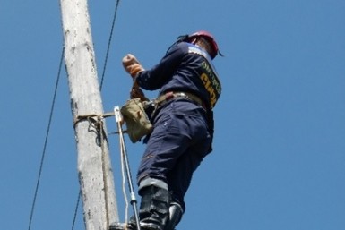 Итоги дня: собаки не пахнут, школьные "колеса", афера для пенсионера и слив на Фукусиме Итоги дня: собаки не пахнут, школьные "колеса", афера для пенсионера и слив на Фукусиме