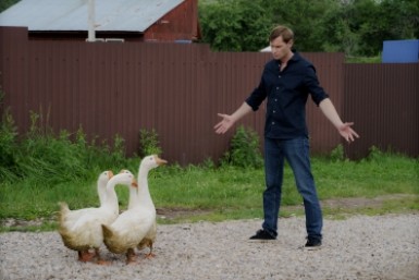 Итоги дня: "Ветер перемен", тест для таксиста, школьный драчун и игры на рабочем месте