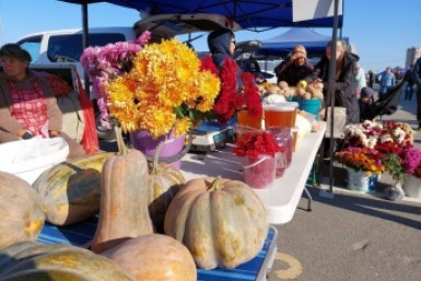 Итоги дня: рухнул мост, водолазы нашли авто, ярмарка закрылась и школьная энергоэкскурсия