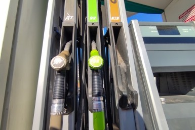 Итоги дня: собаки не пахнут, школьные "колеса", афера для пенсионера и слив на Фукусиме Итоги дня: собаки не пахнут, школьные "колеса", афера для пенсионера и слив на Фукусиме