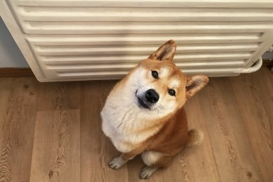 Итоги дня: религиозный скандал, батареи потеплели, защита "Шамана" и кража кабеля