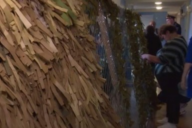 Итоги дня: опасная икра, нападение собак, штраф за неправильных пчел и новый тренер в СКА