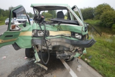 Итоги дня: опасная икра, нападение собак, штраф за неправильных пчел и новый тренер в СКА