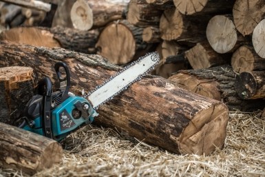 Итоги дня: необычная фотосессия, мошенническая схема и сбежавший рецидивист