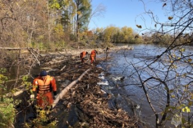 Итоги дня: опасная икра, нападение собак, штраф за неправильных пчел и новый тренер в СКА