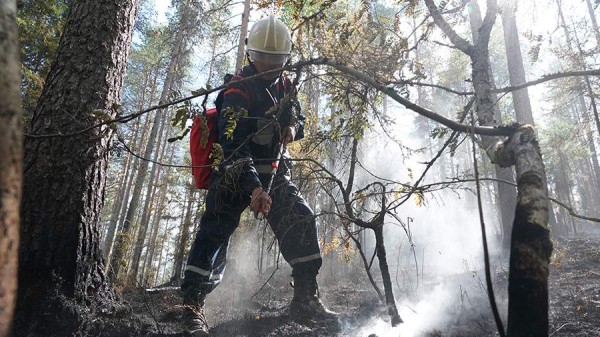 В Хабаровском крае природные пожары охватили почти 1 тыс. га
В Хабаровском крае природные пожары охватили почти 1 тыс. га