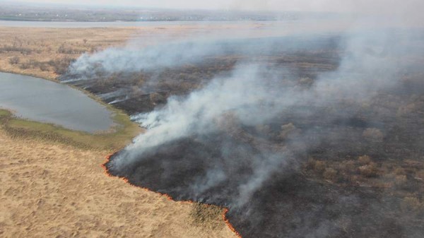 Режим ЧС регионального характера ввели в лесах в Хабаровском крае
