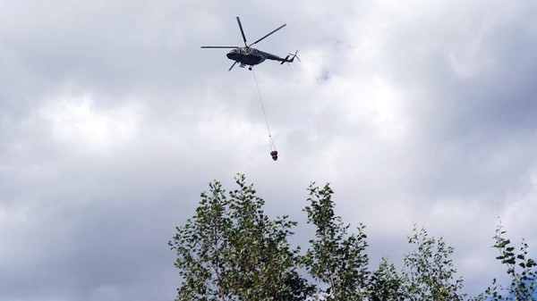 Более 300 лесных пожаров произошло в Хабаровском крае с начала сезона
