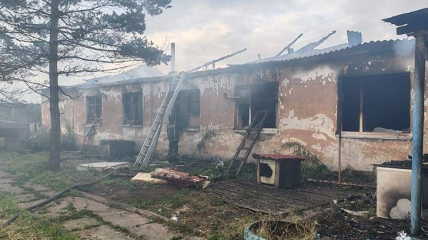 Более 60 животных погибли при пожаре в приюте в Хабаровском крае
