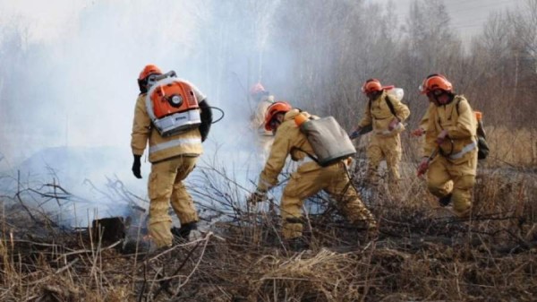 Девять пожаров на площади 4 тыс. га действуют в Хабаровском крае
