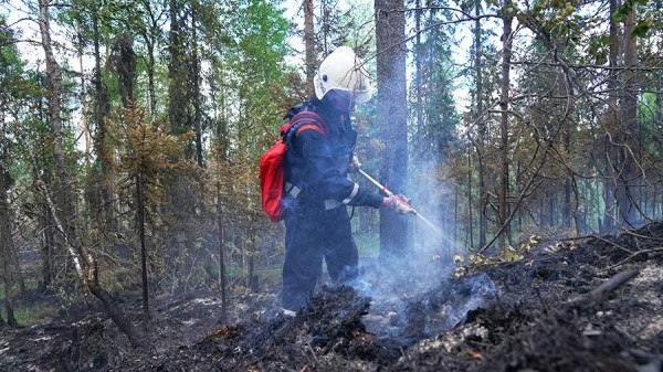 Класс пожарной опасности повысился в Хабаровском крае из-за потепления
