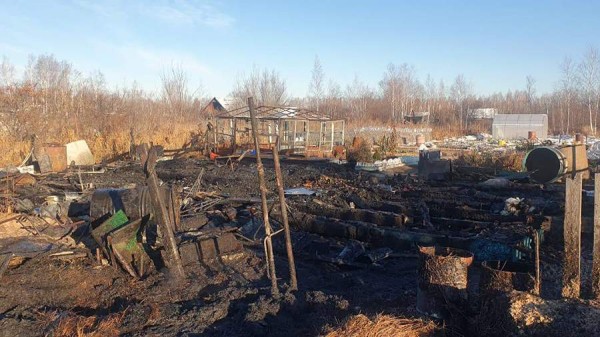 Женщина и ребенок погибли в пожаре в Хабаровском крае
