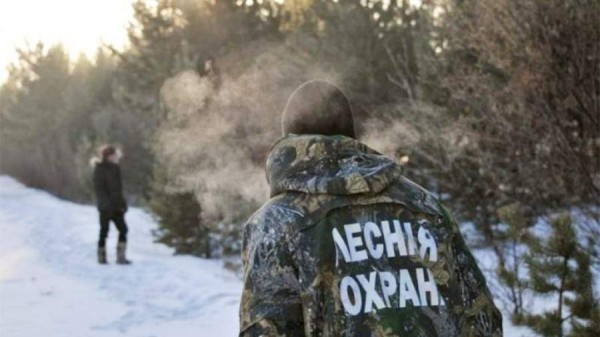 Охрану хвойных деревьев усилили перед Новым годом в Хабаровском крае
