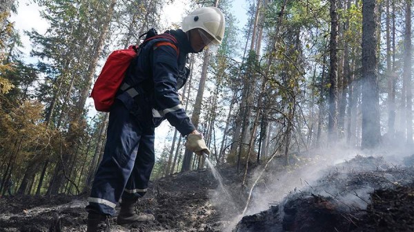 Пожароопасный сезон завершился на севере Хабаровского края
