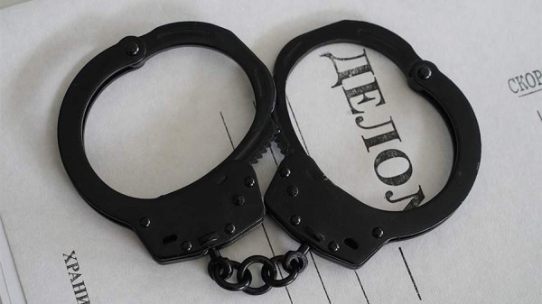 В Хабаровском крае после нападения собак на ребенка возбудили уголовное дело
