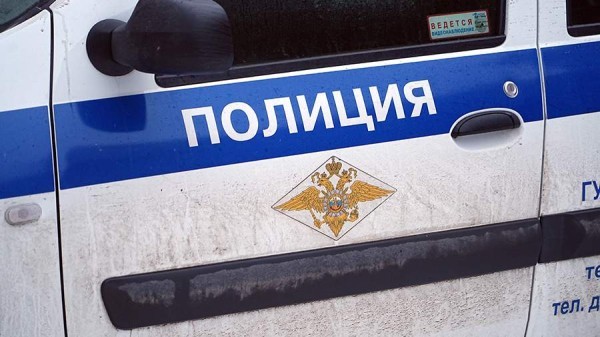 Автомобиль насмерть сбил тигра на дороге в Хабаровском крае
