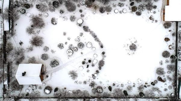 
Срок передачи земли в аренду сократили в два раза в Хабаровском крае