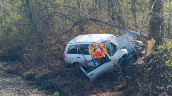 В Хабаровском крае при съезде автомобиля в кювет погиб мужчина
В Хабаровском крае при съезде автомобиля в кювет погиб мужчина