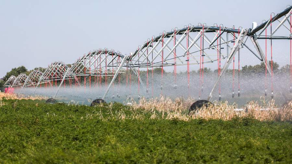 
Хабаровские власти возместят фермерам затраты на мелиорацию
