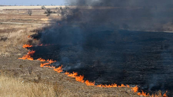 
Количество лесных пожаров уменьшилось в три раза в Хабаровском крае
