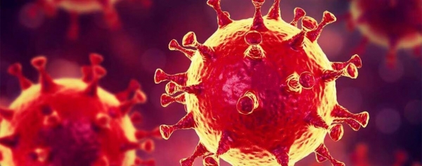 2404 - больных COVID-19 в Хабаровском крае становится все меньше